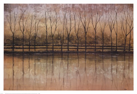 Framed Reflective Waters Print