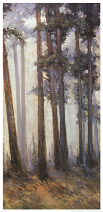 Framed Silver Trees II Print