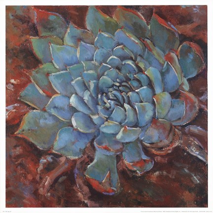 Framed Blue Agave II Print