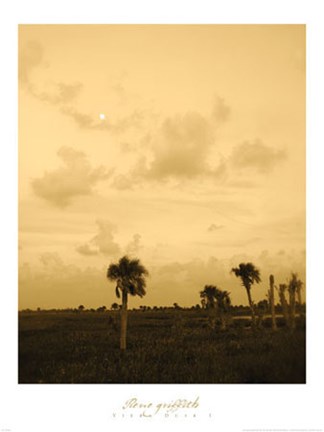 Framed Viera Dusk I Print