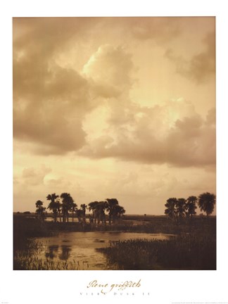 Framed Viera Dusk II Print