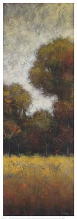 Framed Wilds I Print