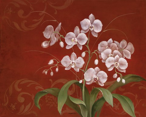 Framed Say it with Orchids II Print