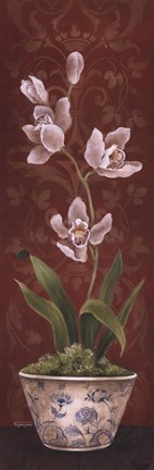 Framed Organic Orchids I Print