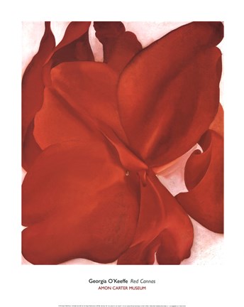 Framed Red Cannas Print