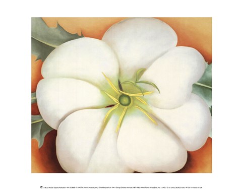 Framed White Flower on Red Earth, No. 1 Print