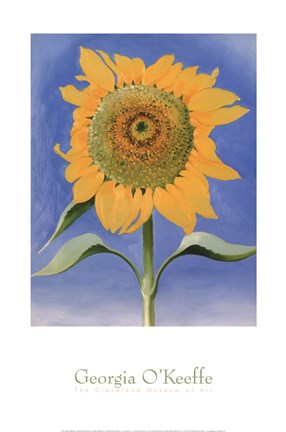 Framed Sunflower, New Mexico, 1935 Print