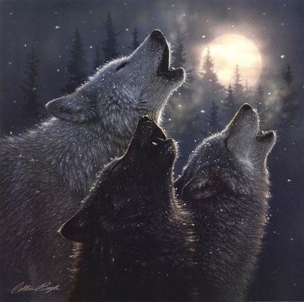 Framed In Harmony Print