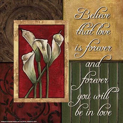 Framed Spice 4 PatchBelieve that Love Print