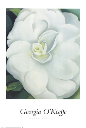 Framed White Camellia Print
