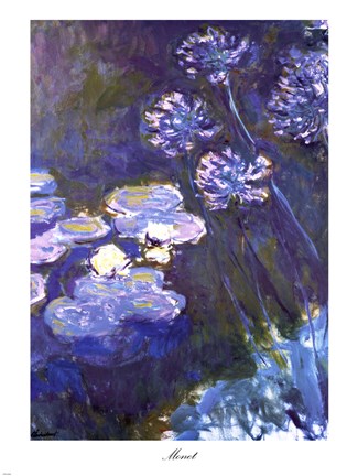 Framed Water Lilies and Agapanthus, 1914-1917 Print
