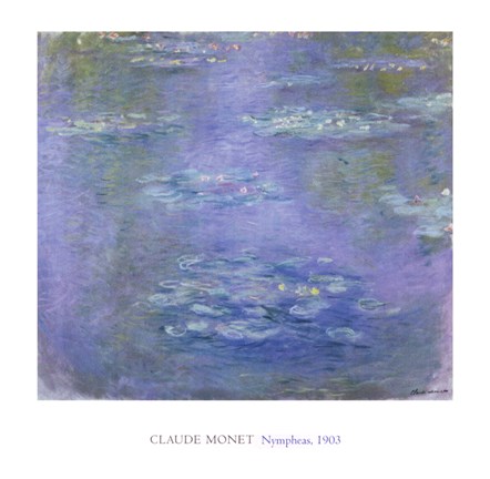 Framed Nympheas, 1903 Print