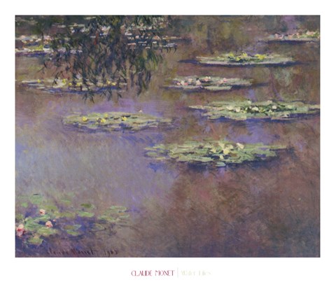 Framed Water Lilies, 1903 Print