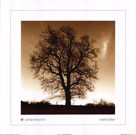Framed Winter Tree No. 1 Print