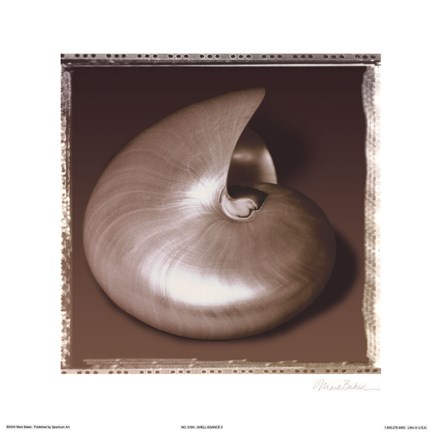 Framed Shell-Egance II Print