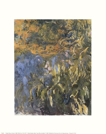 Framed Iris, 1914-1917 Print