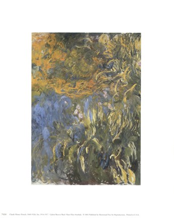 Framed Iris, 1914-1917 Print