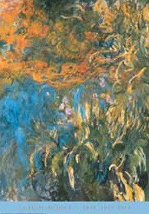 Framed Iris, 1914-1917 Print