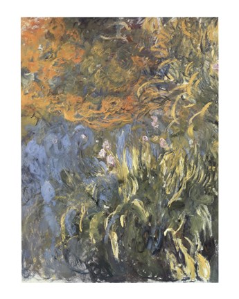 Framed Iris, 1914-1917 Print