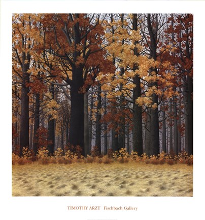 Framed Autumn Wood Print