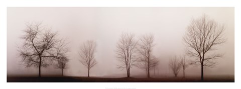 Framed Misty Meadow Print