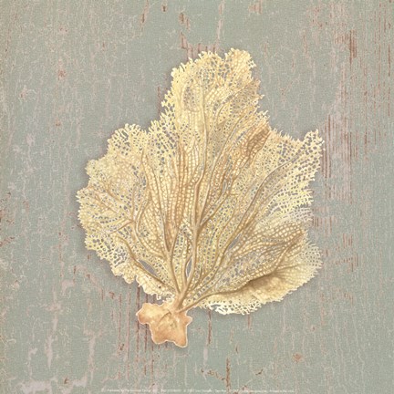 Framed Sea Fan Print