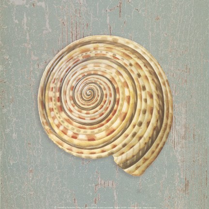 Framed Sundial Print