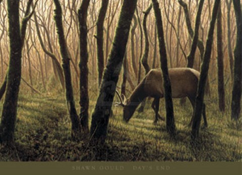Framed Day&#39;s End Print