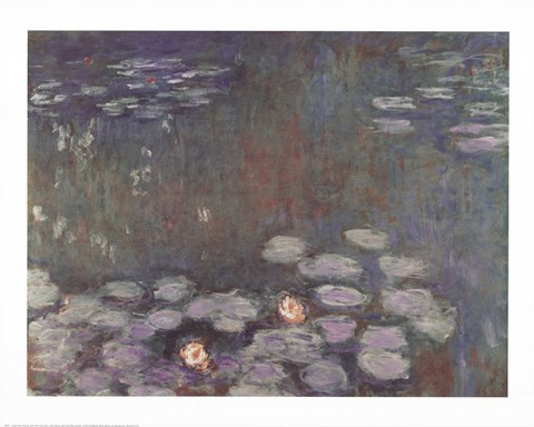 Framed Water Lilies (dark) Print