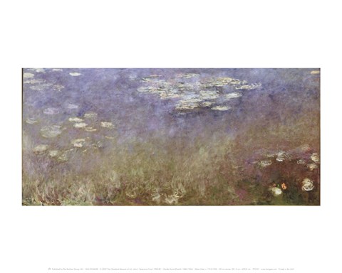 Framed Water Lilies, c. 1915-1926 Print