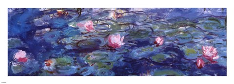 Framed Water Lilies (blue and purple) Print