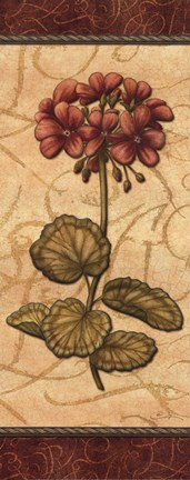 Framed Red Passion Geranium - mini Print