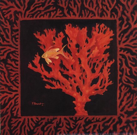 Framed Sea Fan I Print
