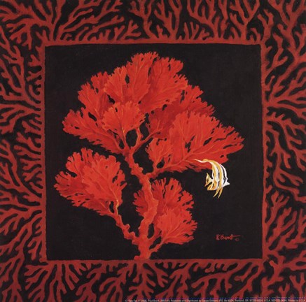 Framed Sea Fan II Print