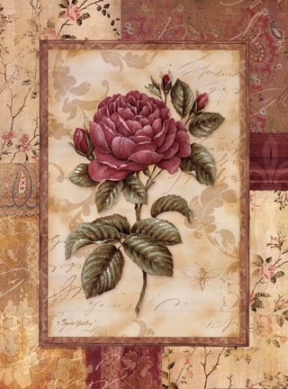 Framed Provence Rose I Print