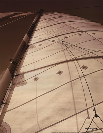 Framed Windward Sail I Print