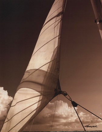 Framed Windward Sail II Print