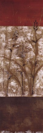 Framed Fresco II - CS Print