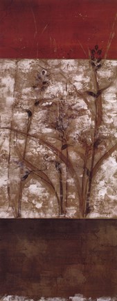 Framed Fresco II - mini - CS Print