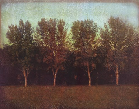 Framed Nature's Bliss I Print