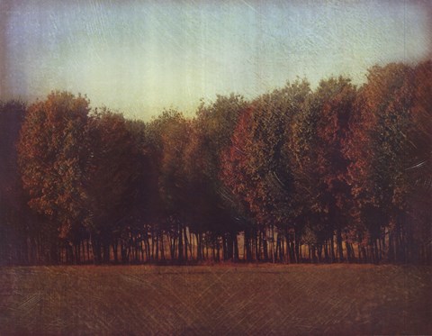 Framed Nature's Bliss II Print