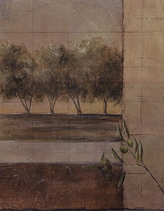 Framed Olive Groves II - CS Print