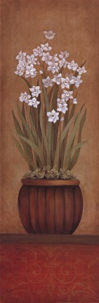 Framed Paperwhites I Print