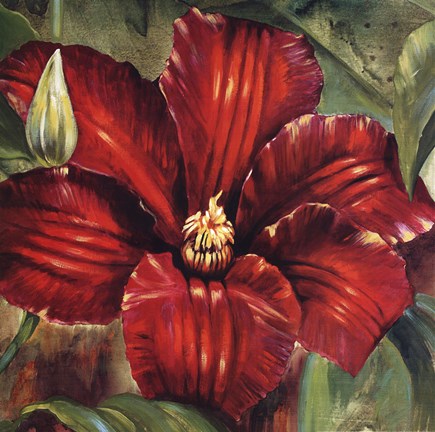 Framed Rosa Odorada Print