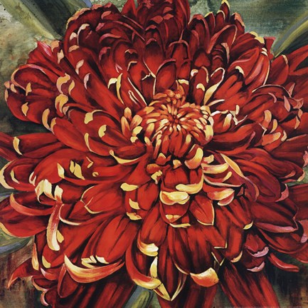 Framed Chrysanthemum Print