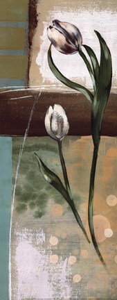 Framed Floral Splendor III Print