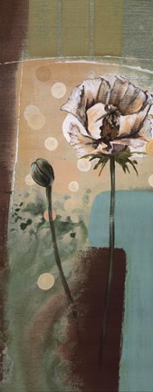 Framed Floral Splendor IV Print