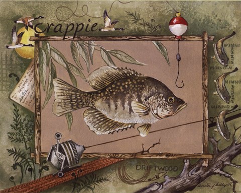 Framed Crappie Print