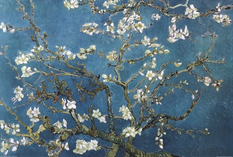 Framed Blossoming Almond Tree, Saint-Remy, c.1890 Print