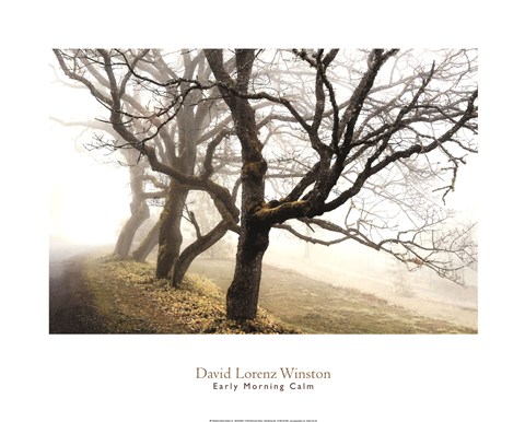 Framed Early Morning Calm Print